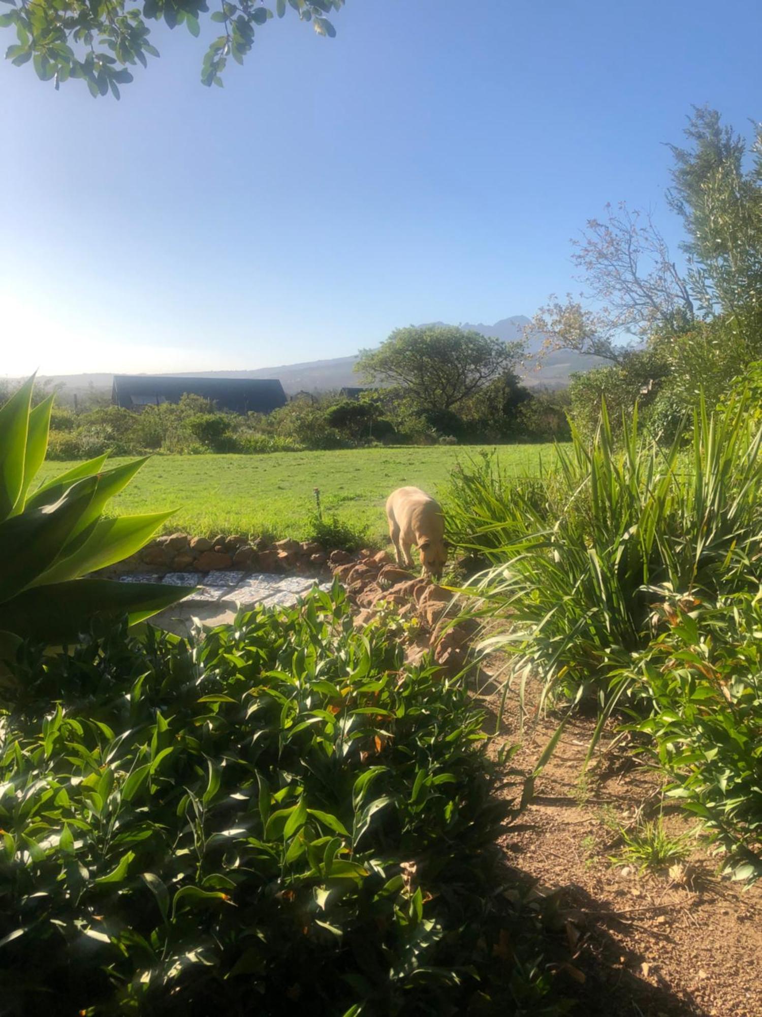 Watermill Studios Gordonʼs Bay Dış mekan fotoğraf